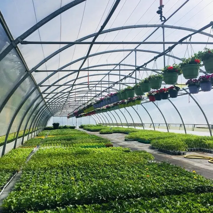 GAEC des Demoiselles Coiffées