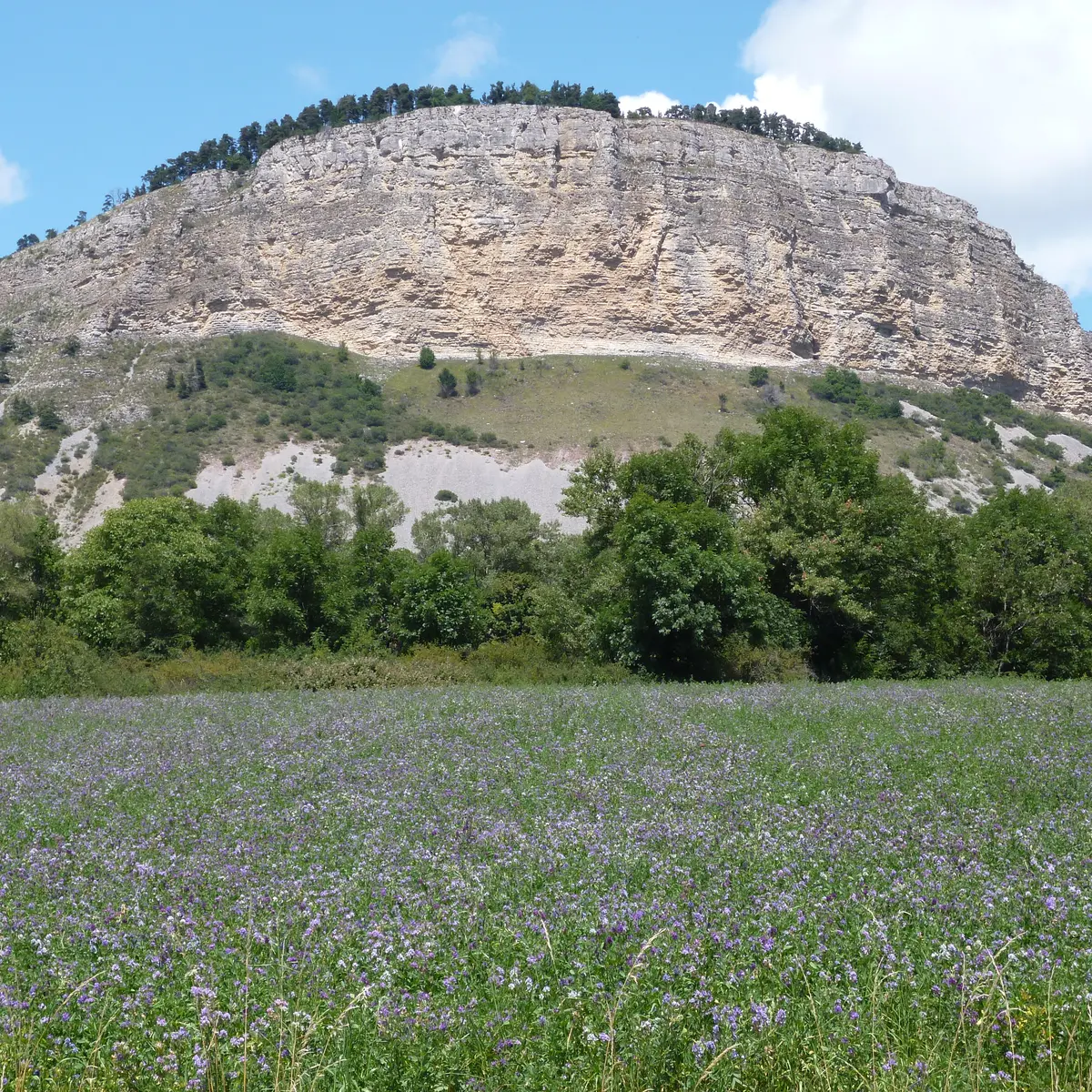 Le Chapeau de Napoléon