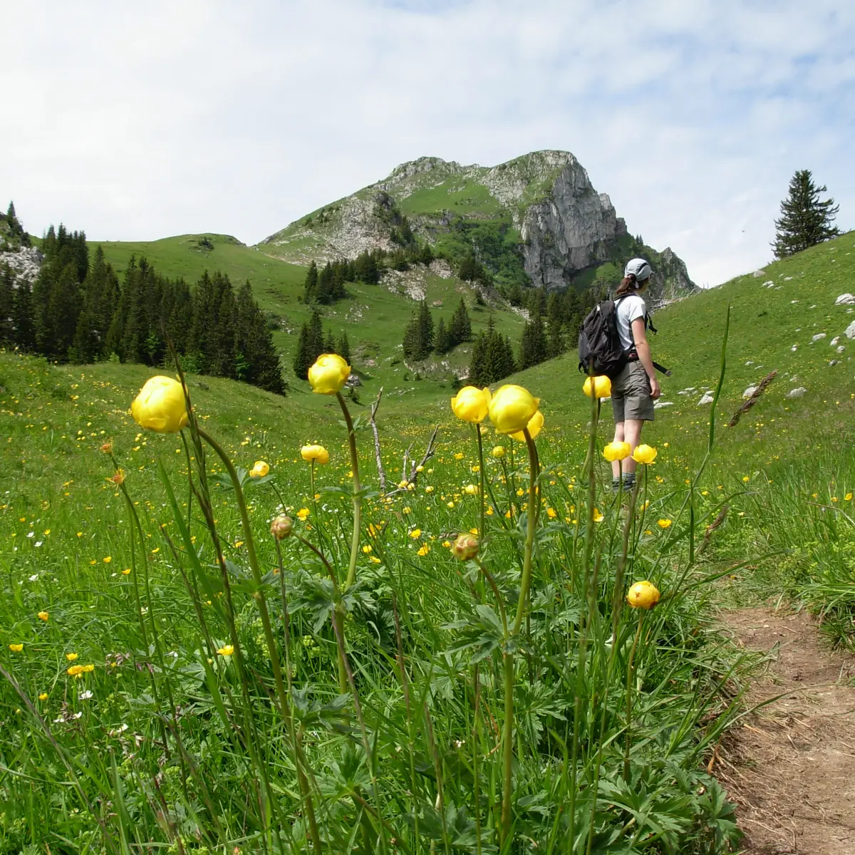 Sommet de la Haute Pointe