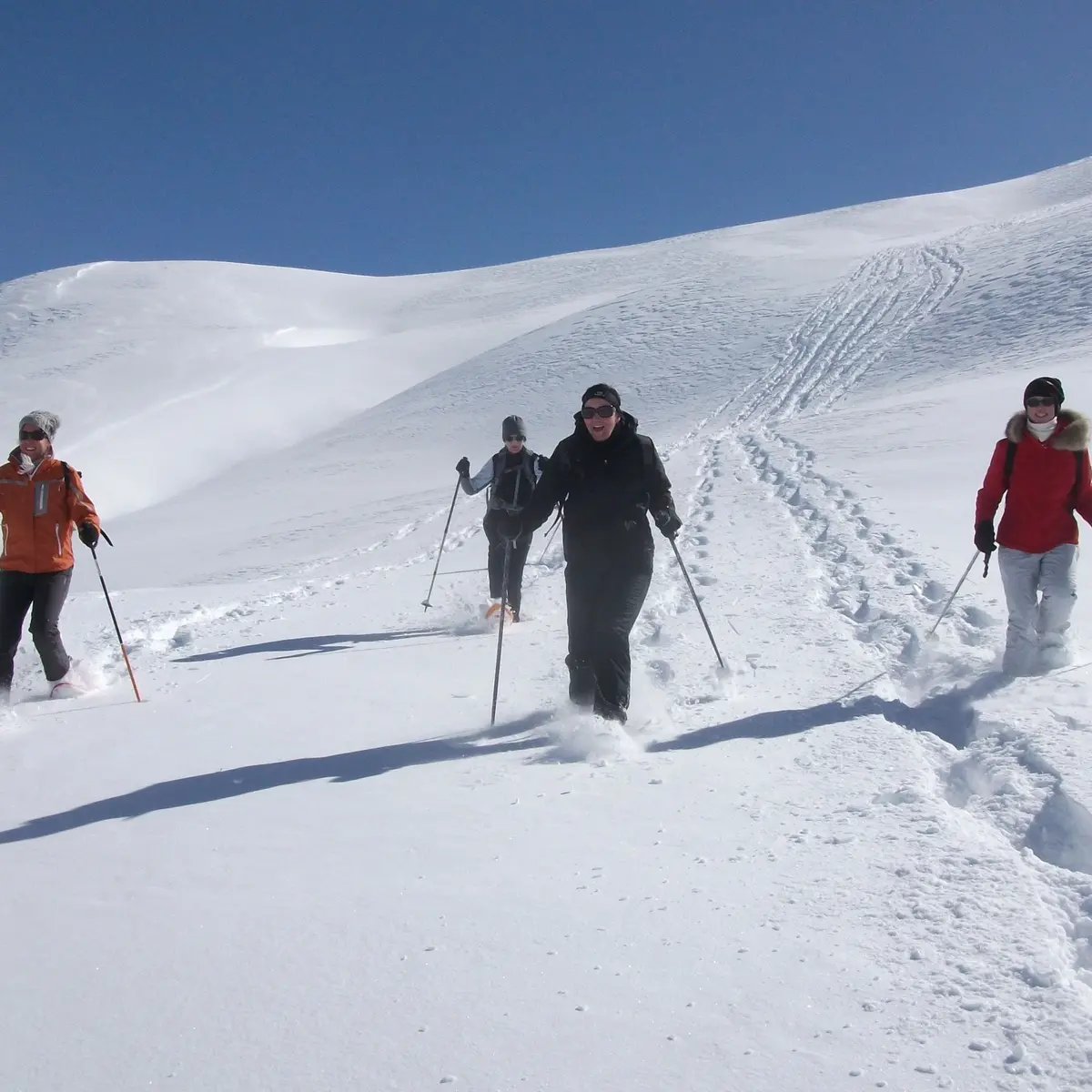 Raquettes à neige