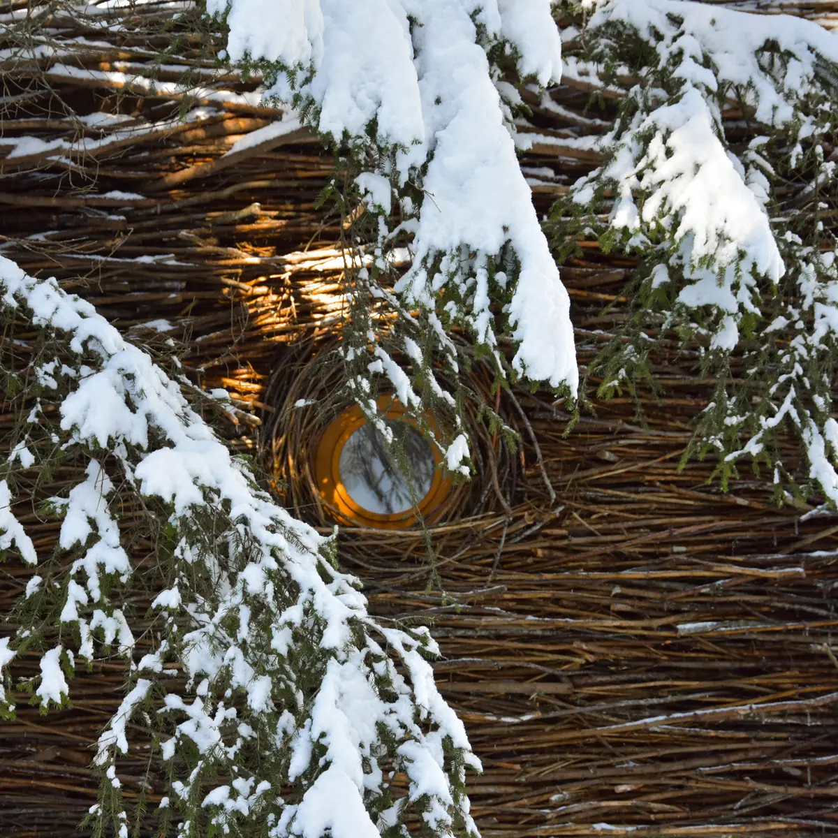 Cabanes entre Terre et Ciel - Cabane Nid, cabane tressée de branche avec son hublot