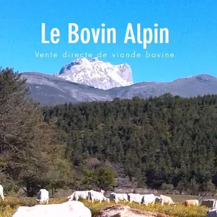 Le Bovin Alpin - Visite à la ferme