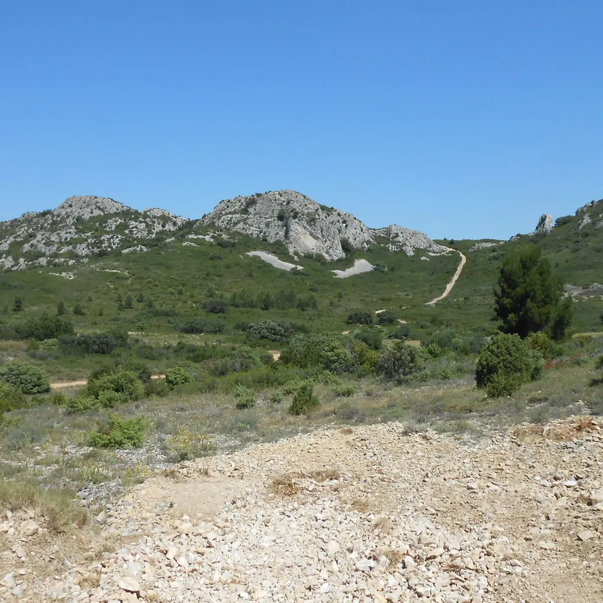 Garrigue d'Aramon
