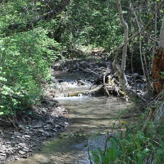 Vue en aval du Grand Béal