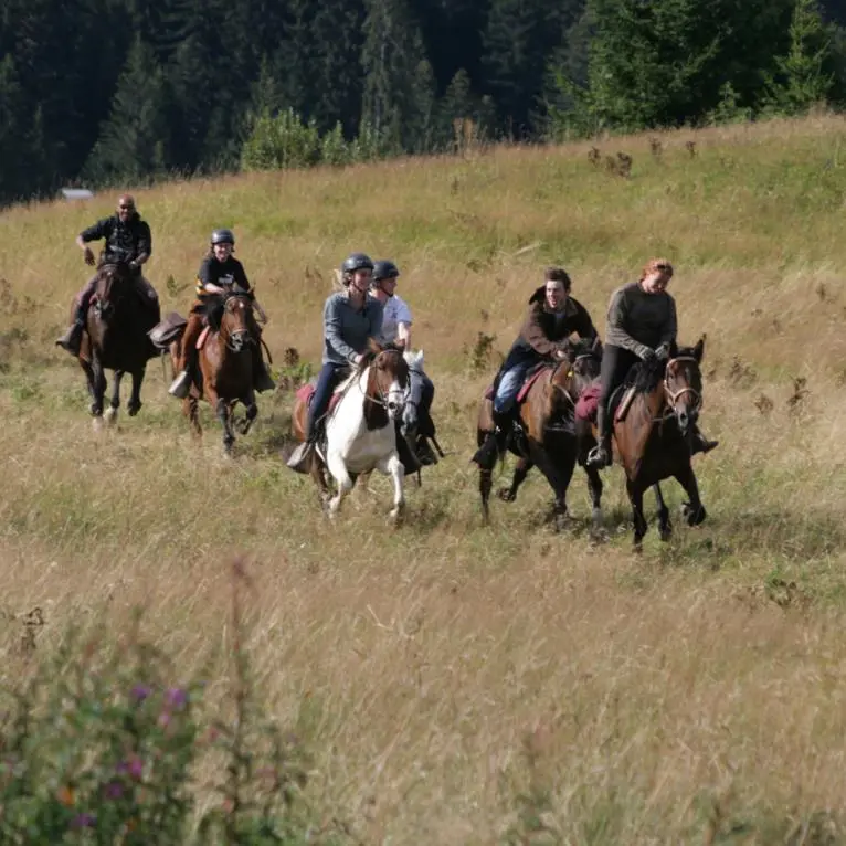 Randonnées à cheval