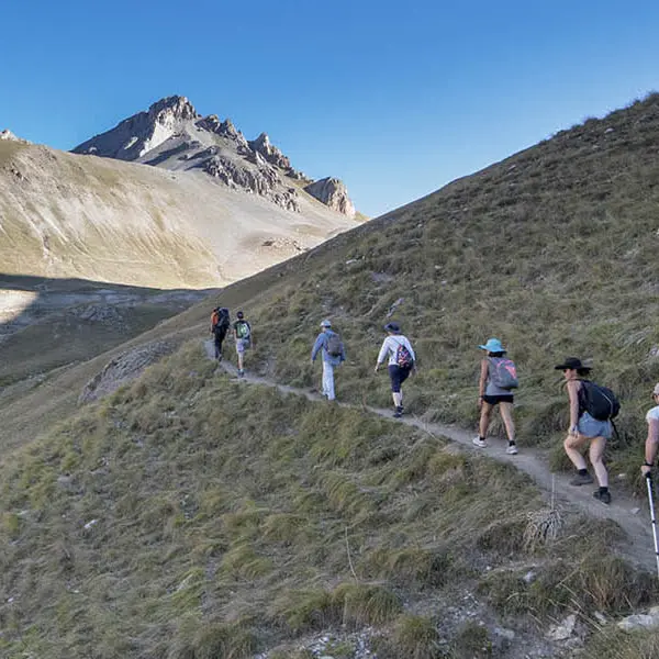 Aventure & Altitude : randonnée