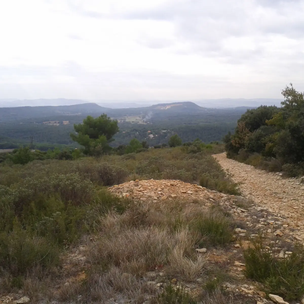 AKERMANN Muriel - Coll. ADT Vaucluse