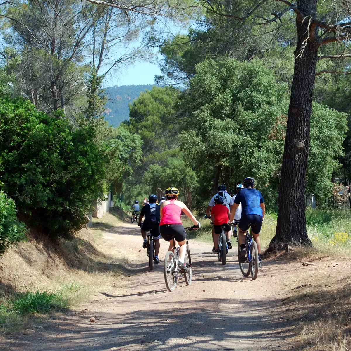 VTT Baou Rouge