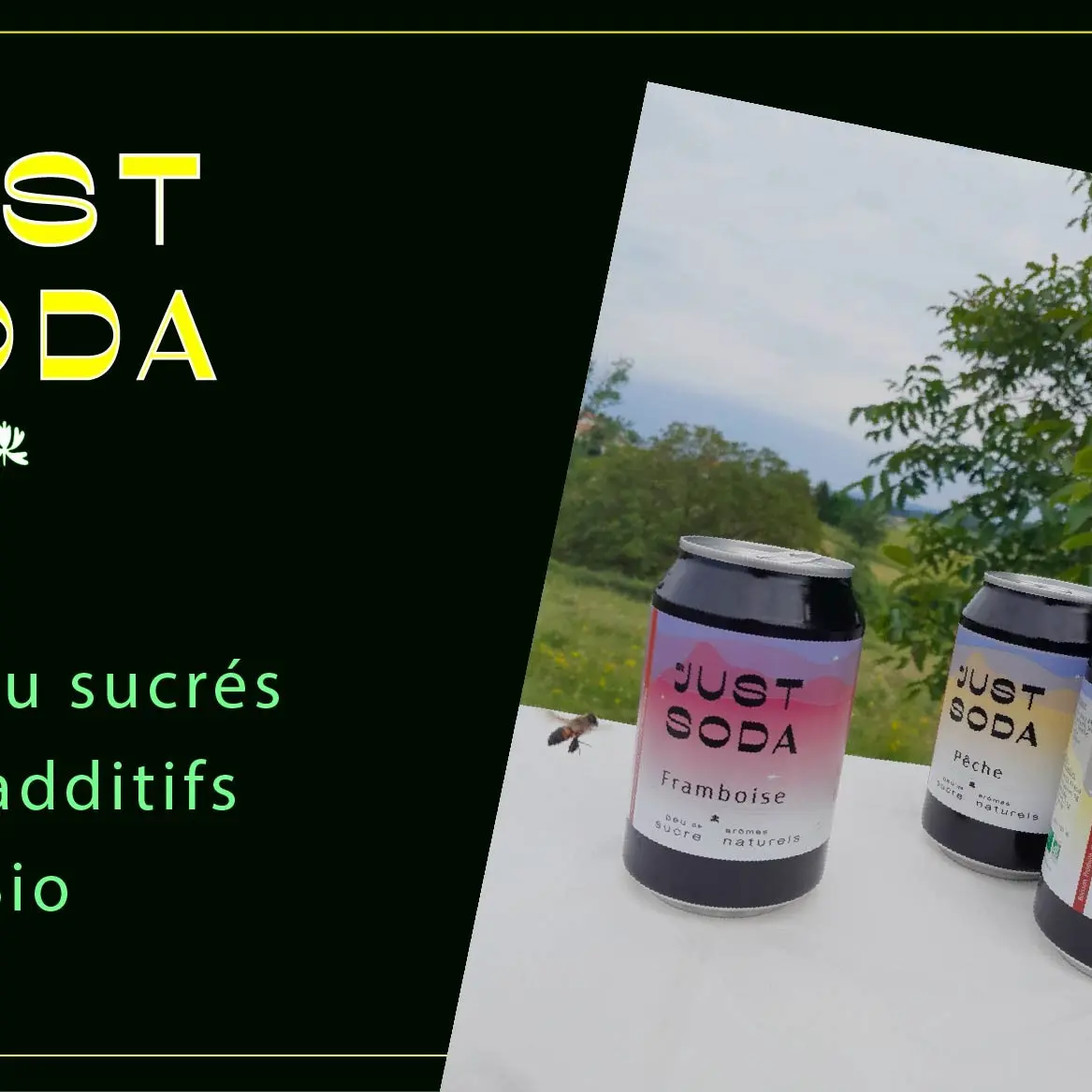 Les Boissons de l'Aube