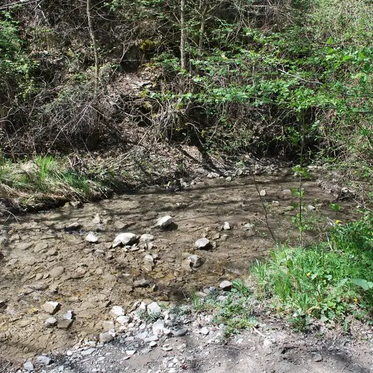 Vue en amont du Béal du Pont