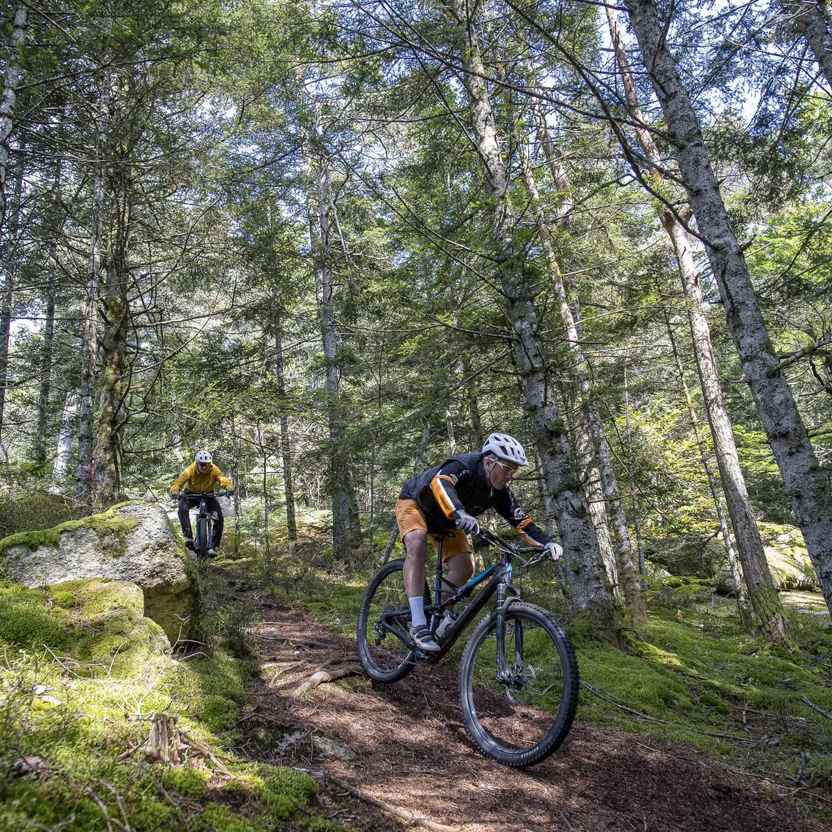 Espace VTT / FFC du Massif des Bois Noirs