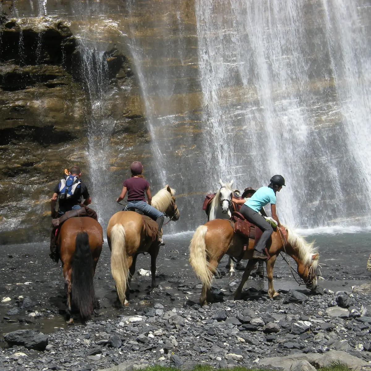 Balade à cheval avec les Paddocks du Mont Blanc