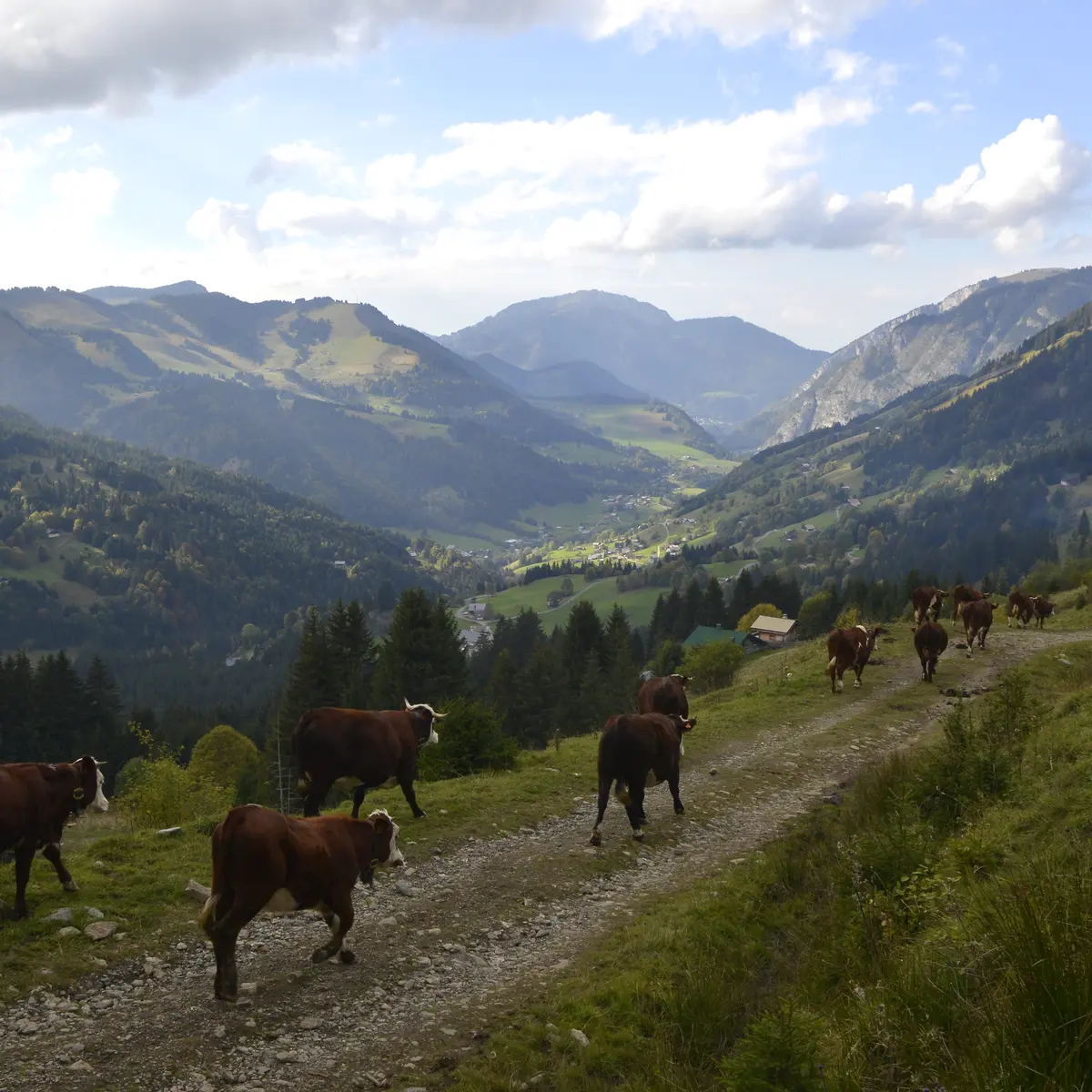 Vue sur Charmy et Abondance