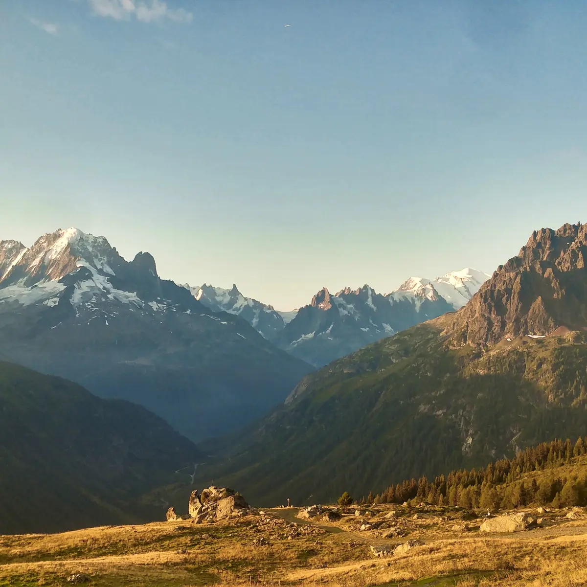 Panorama
