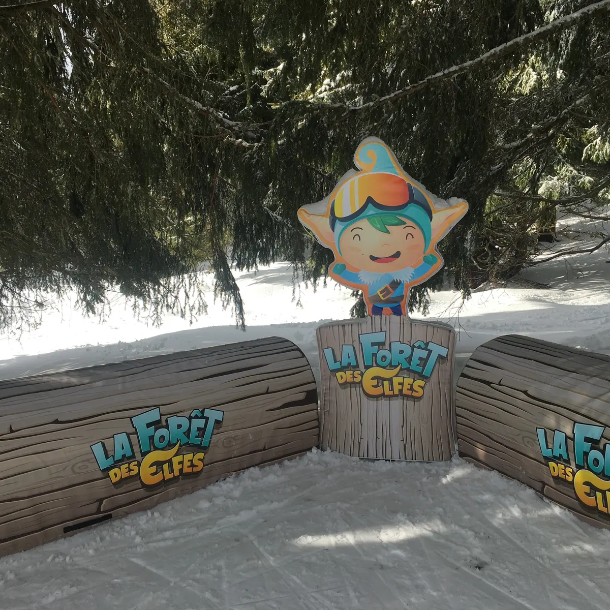 Hotspot photo gratuit de la Forêt des Elfes