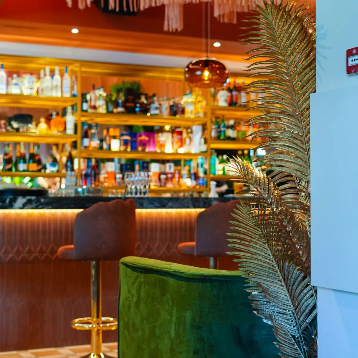 bar