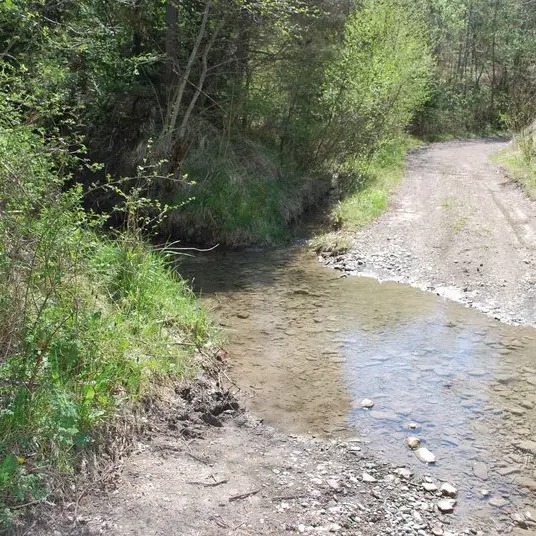 Vue du sentier traversé par le Grand Béal
