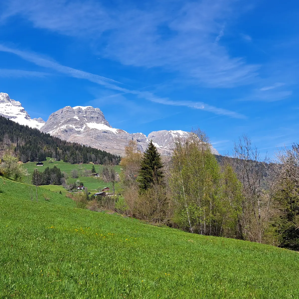 Vue sur les Quatres Têtes au printemps
