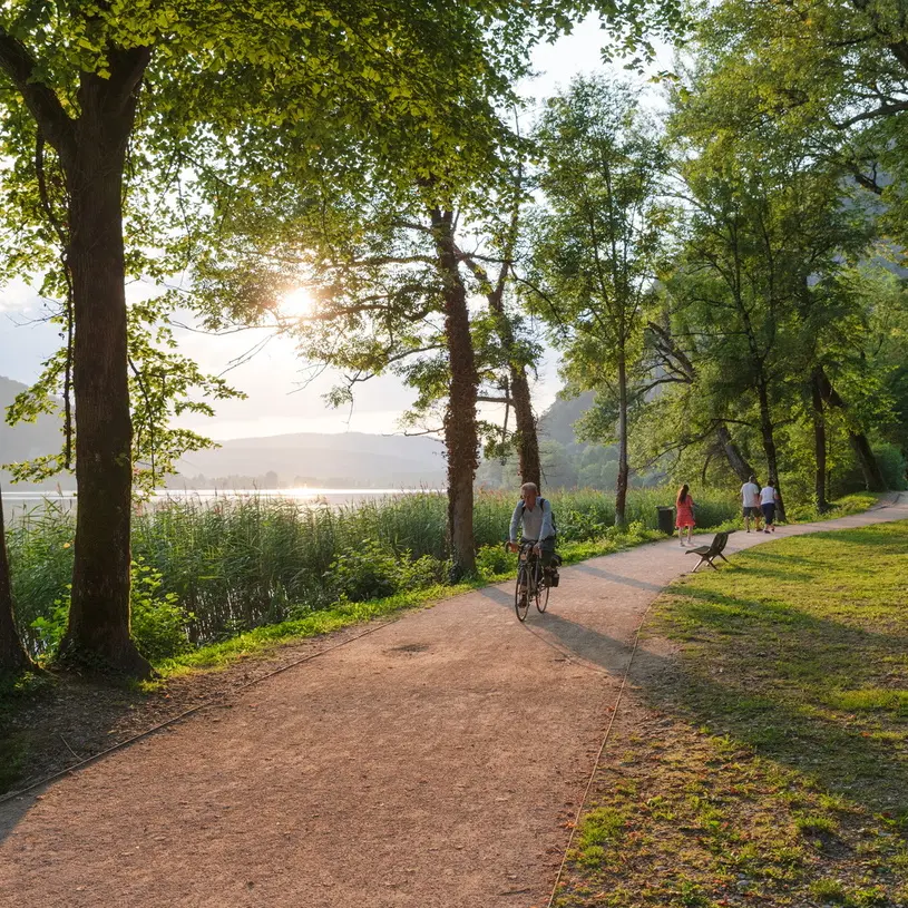 Circuit Jurassic Vélo Tours n° 42 - Le tour des Monts d'Ain par la Chartreuse de Meyriat