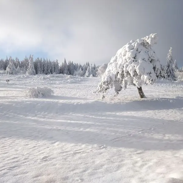 Plateau de la Verrerie