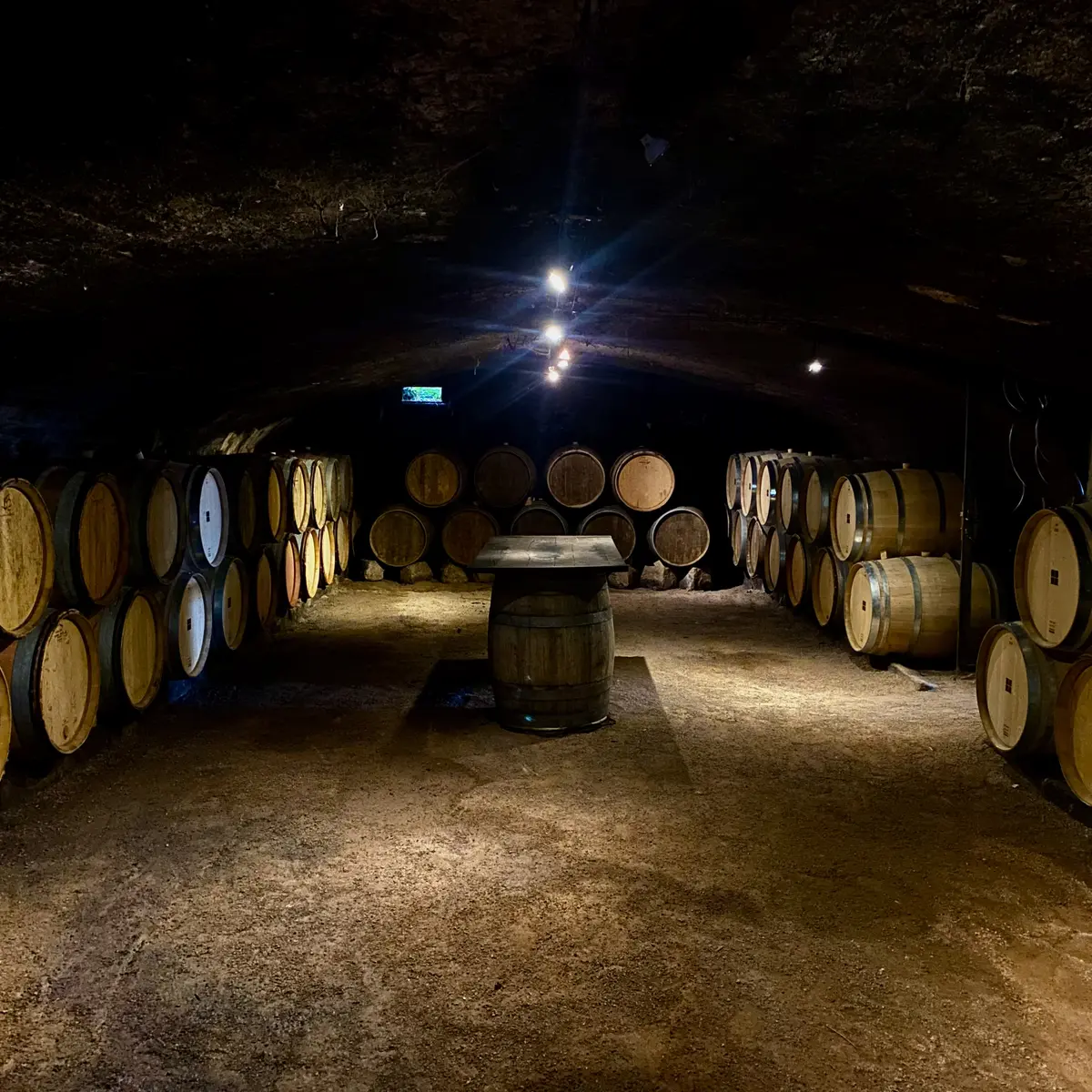 Cave voûtée / Espace de dégustation