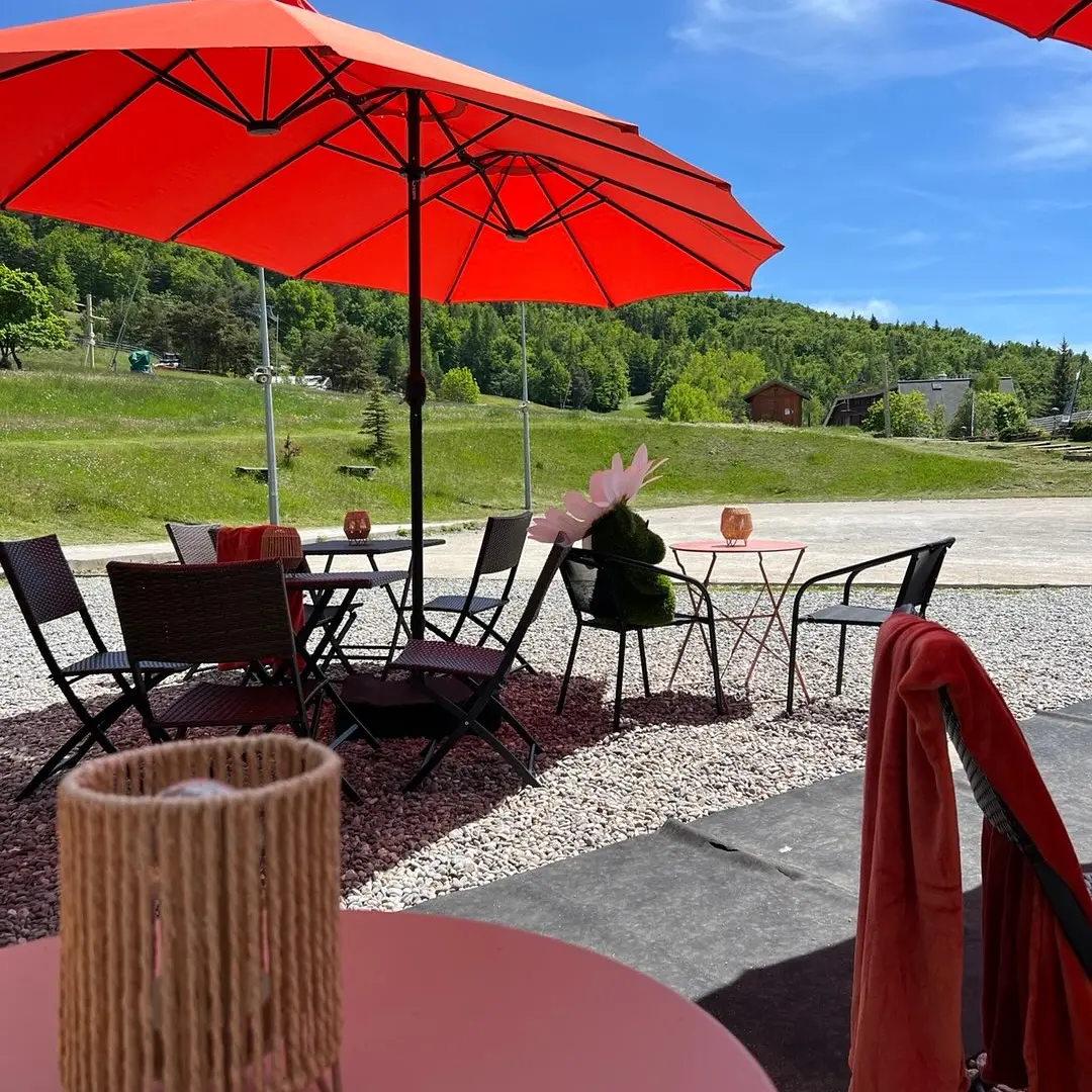 Terrasse café des arts