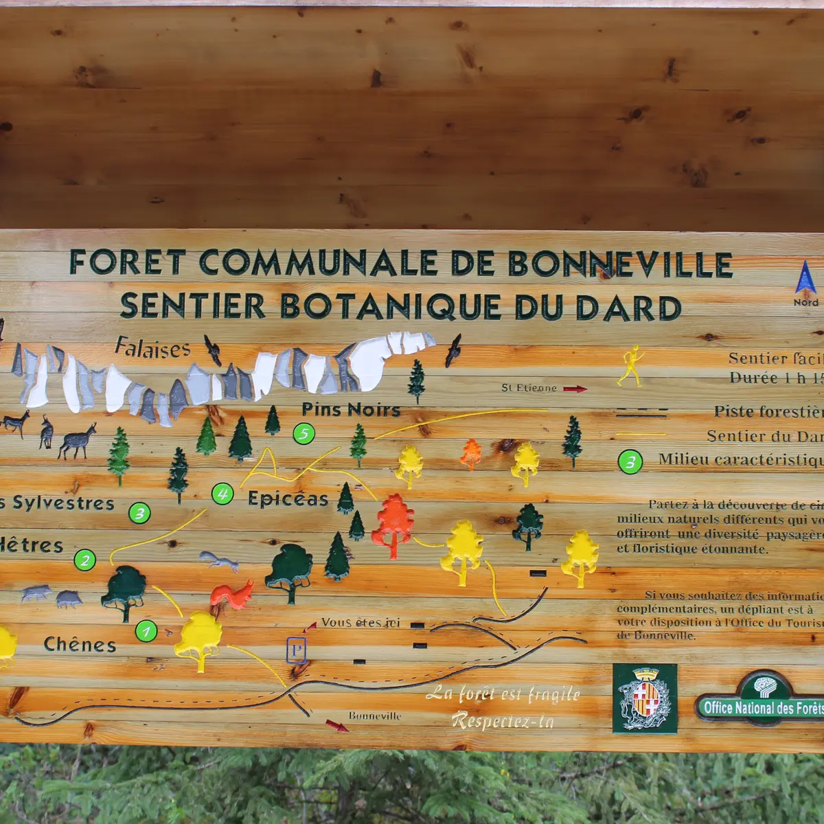 Carte et explication faune et flore