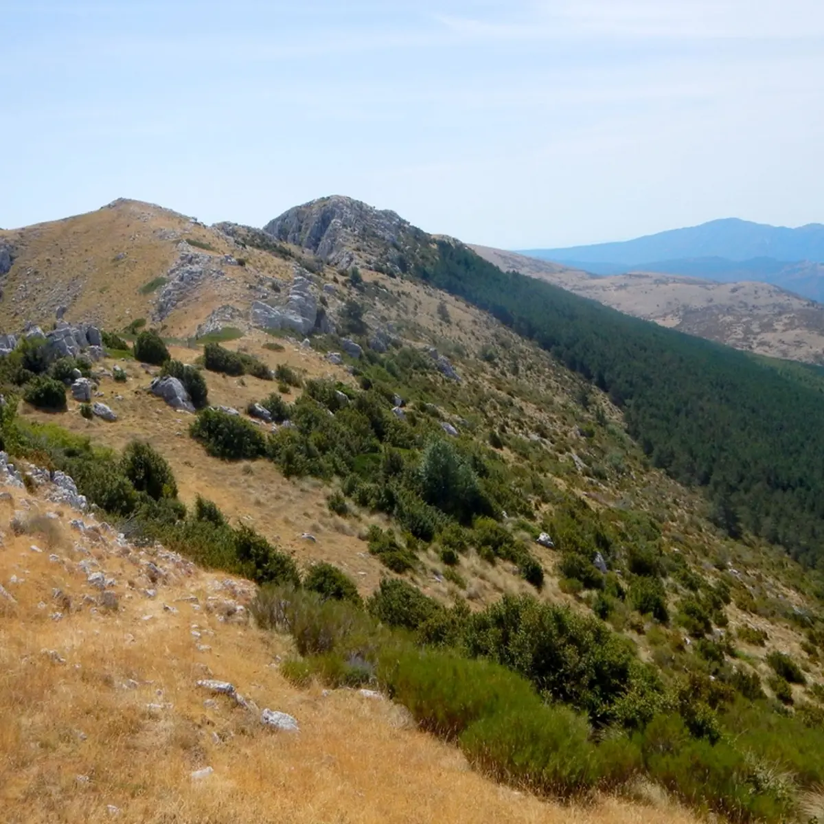 En cheminant sur les crêtes