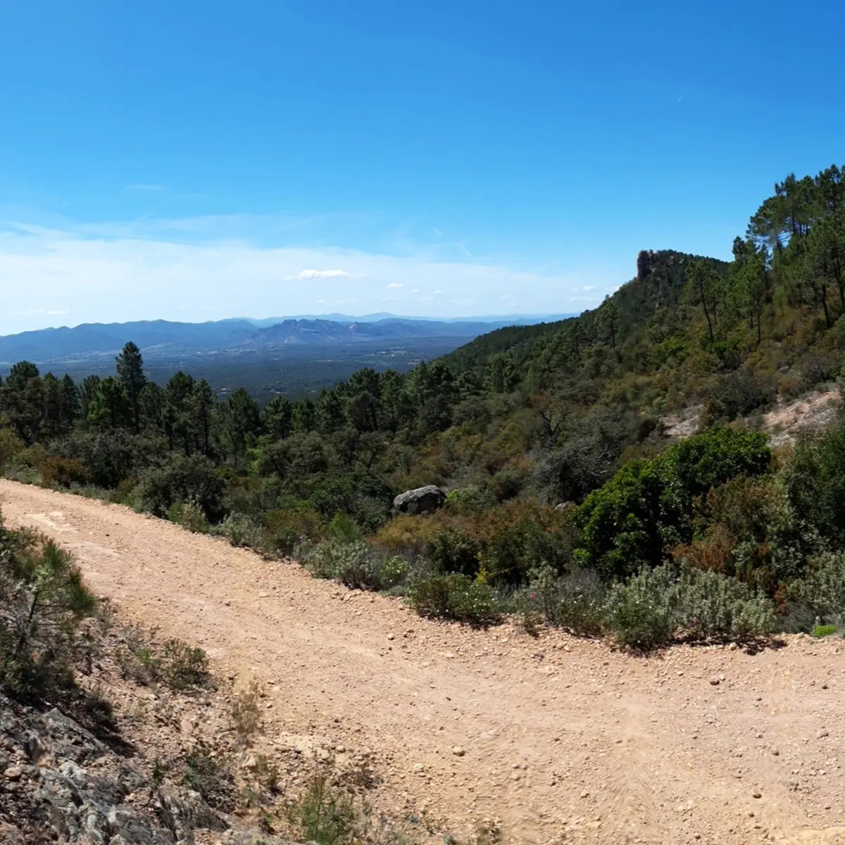 Panorama sur le sentier et une vue dégagée sur la nature verdoyante