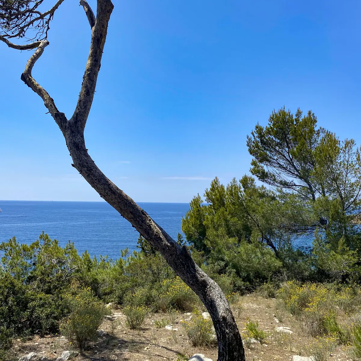 Espace Victorin Blanc 3