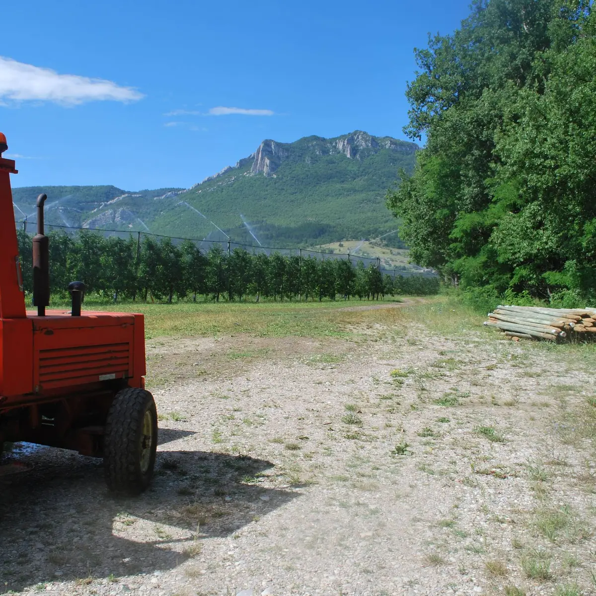 Les vergers de Ribiers