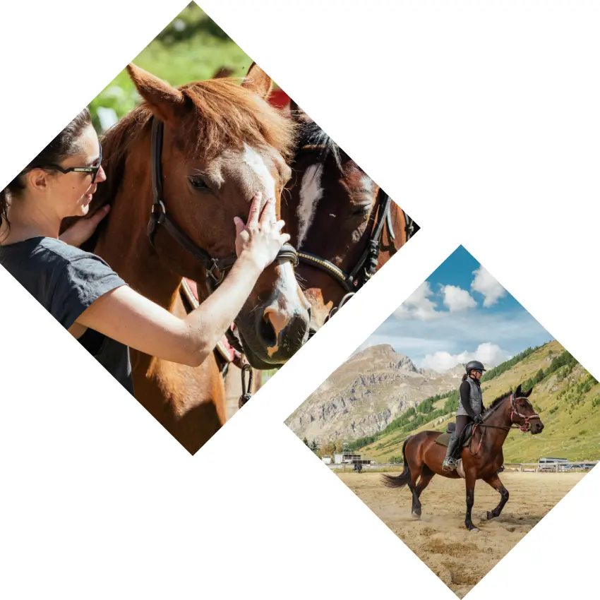 Photo paysage - Autour du poney