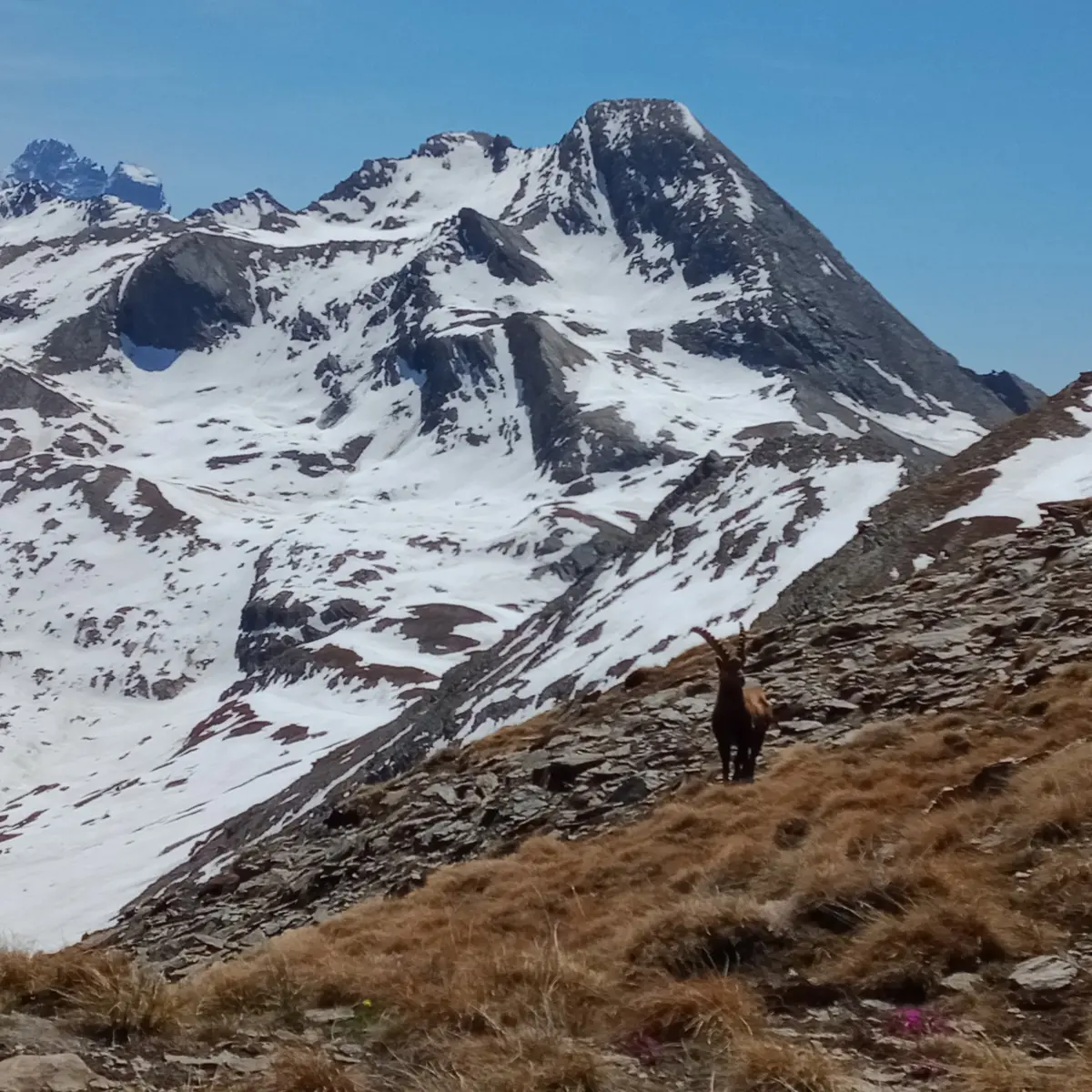 Pain de Sucre début de saison