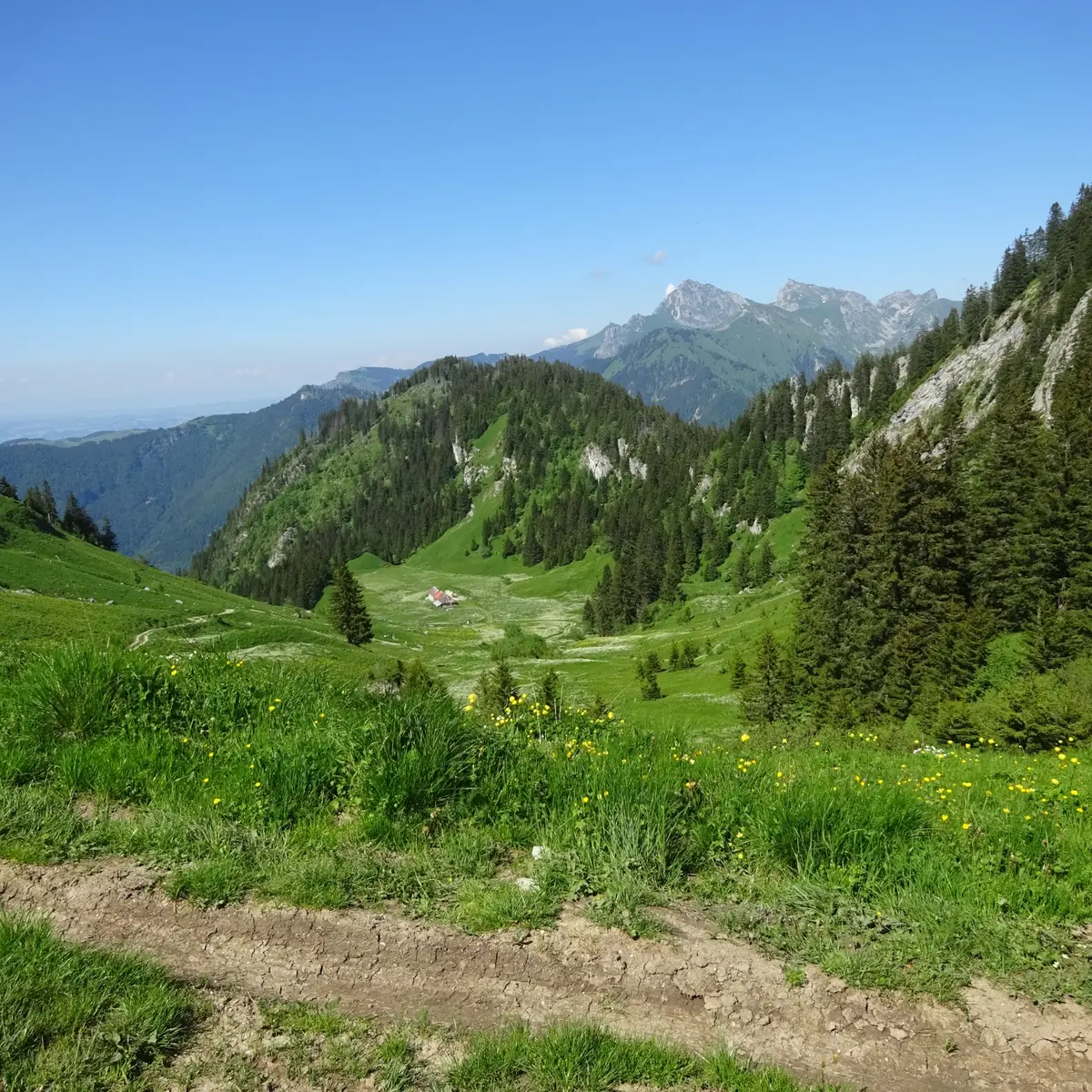 Col de Plan