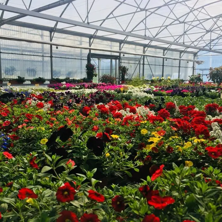 GAEC des Demoiselles Coiffées