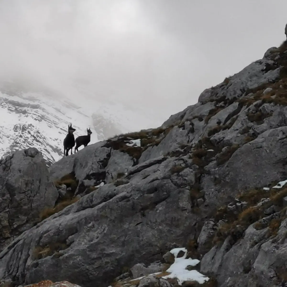 Randonnée avec Dam-nature04