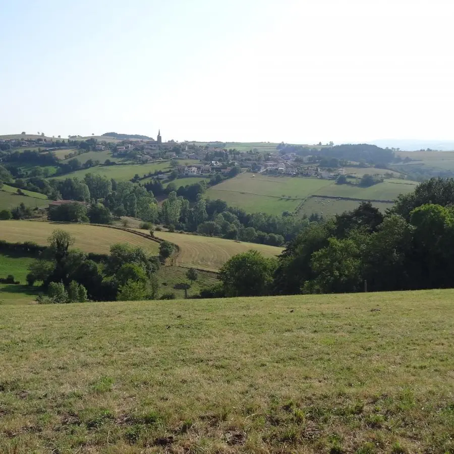 Sentiers des blés Maringes