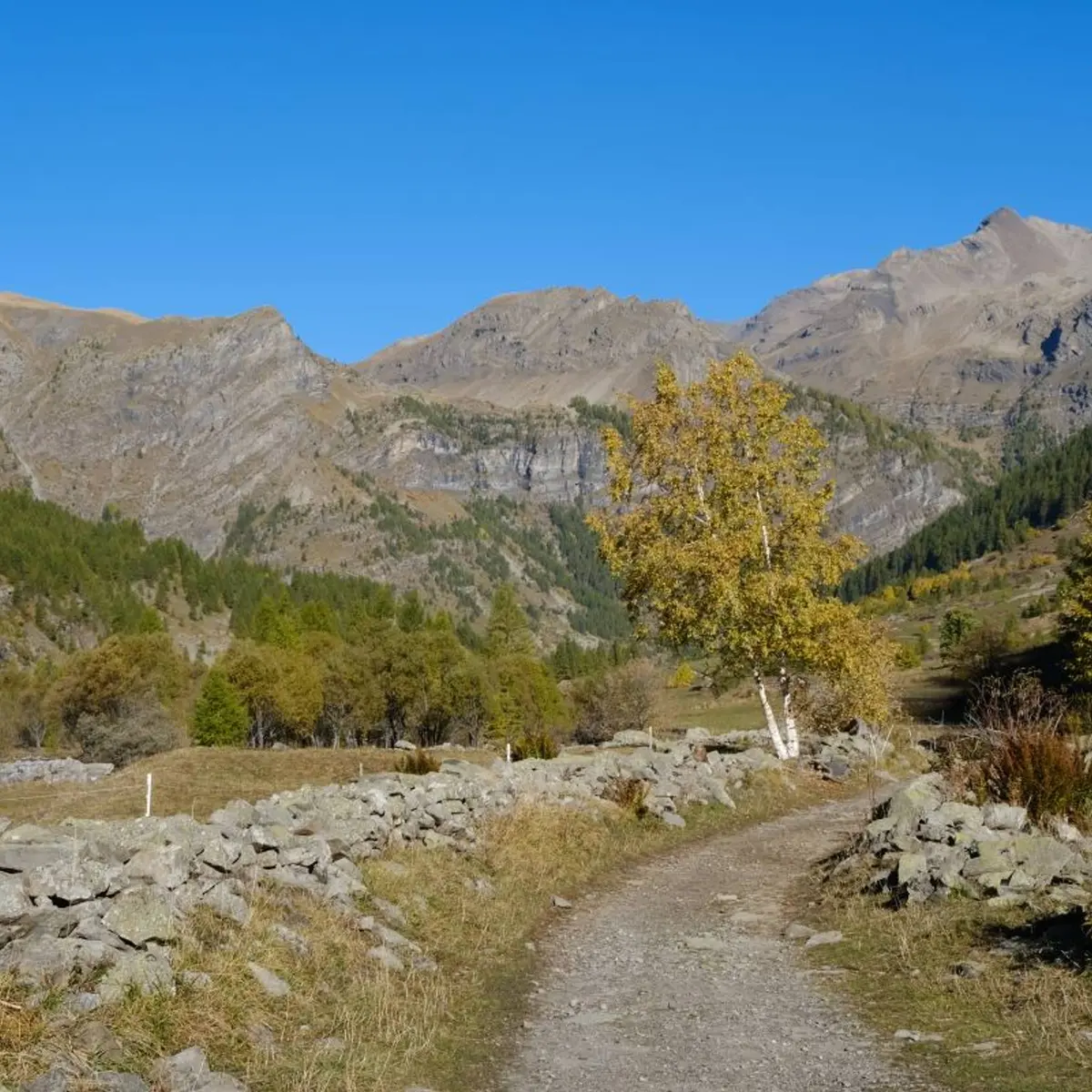 Plateau de Charnière en automne