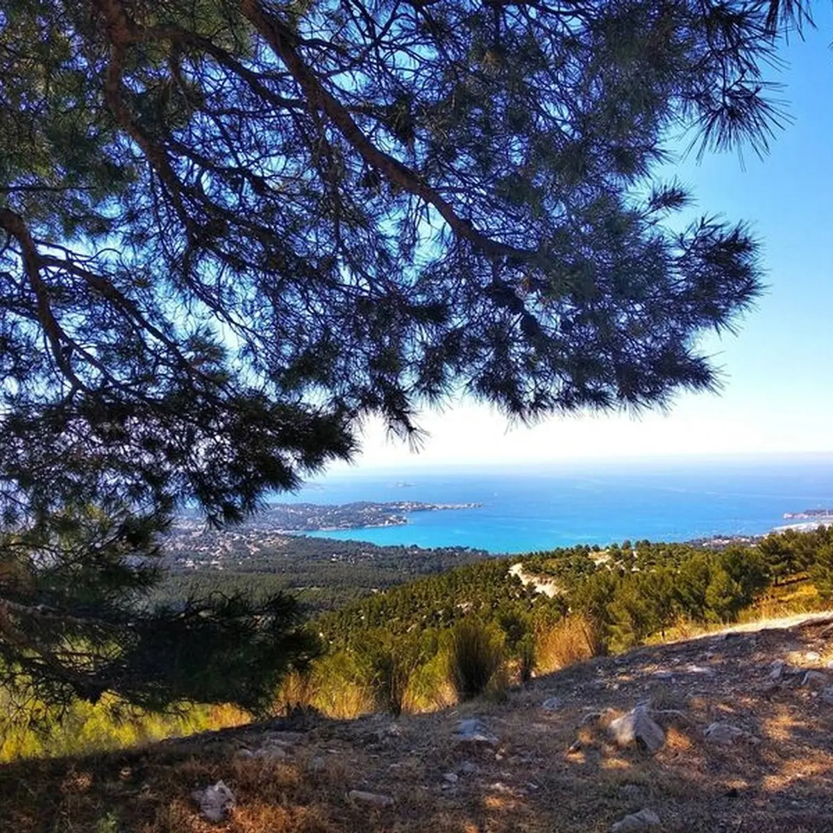 Panorama sur la baie de Sanary-sur-mer
