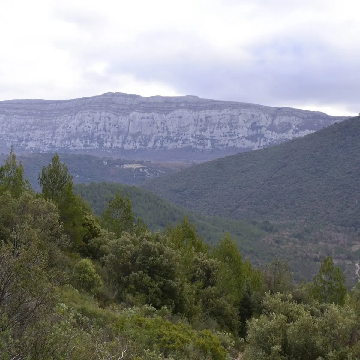 Vue de l'ubac de la Sainte-Baume