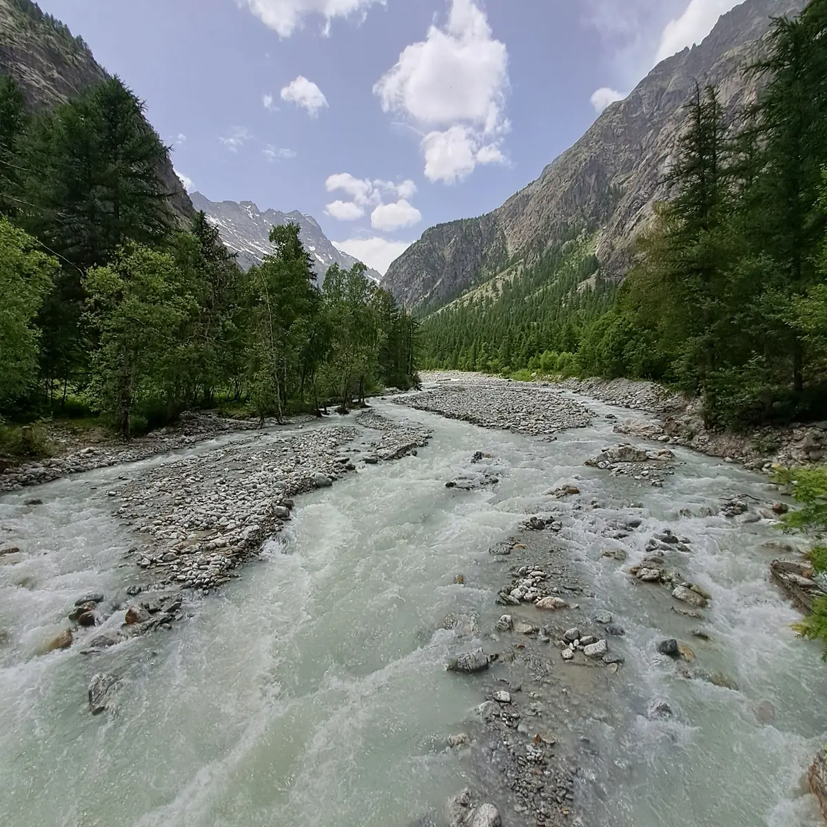 Torrent de Celse Nière