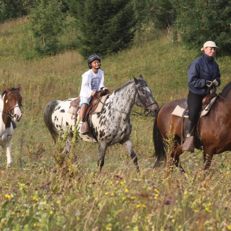 Randonnées à cheval