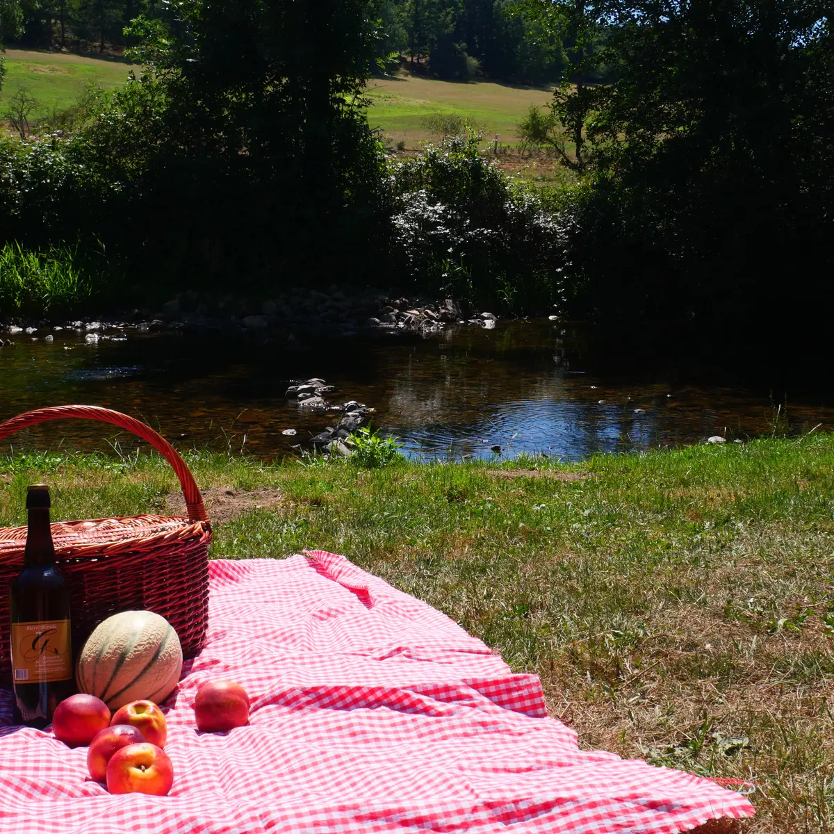 Aire de pique nique BAFFIE