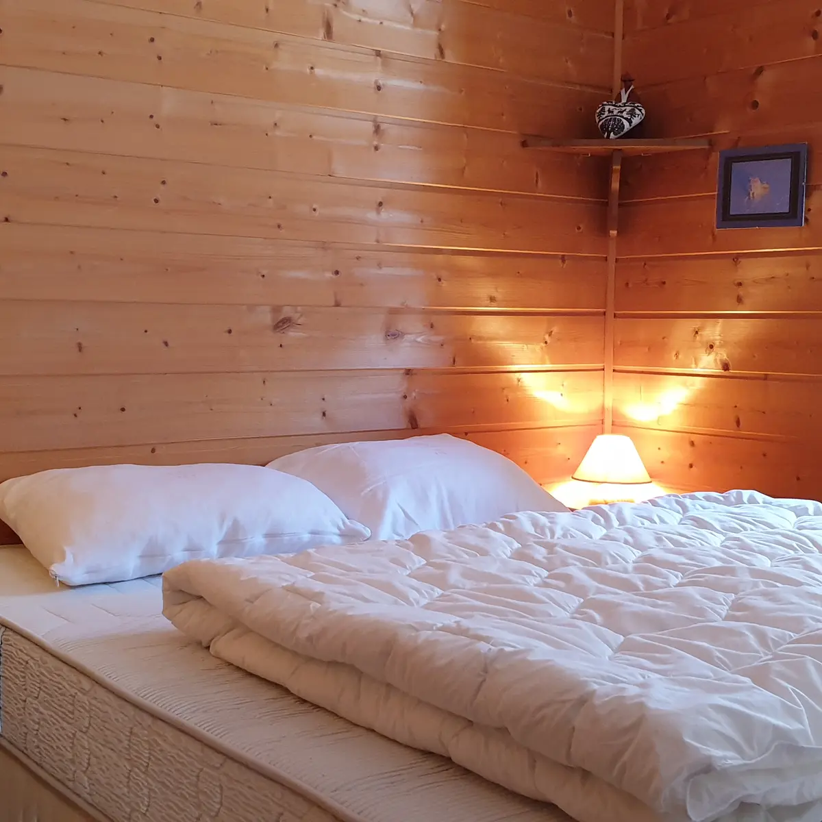 2 pièces - Chalet la Gentiane