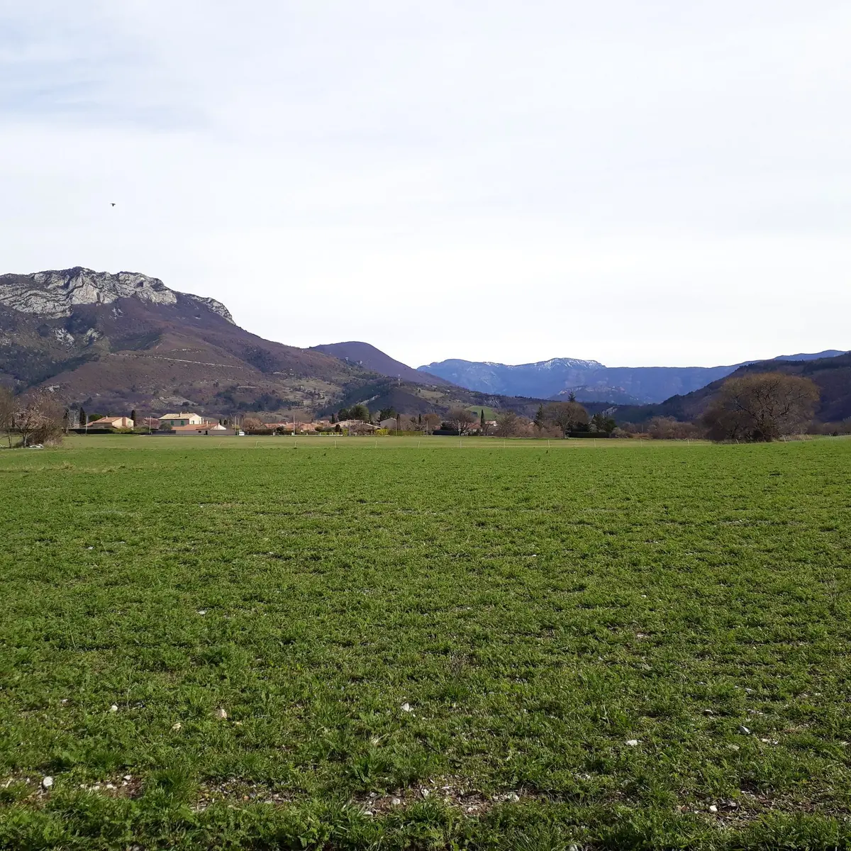 Sur le plateau du Thor