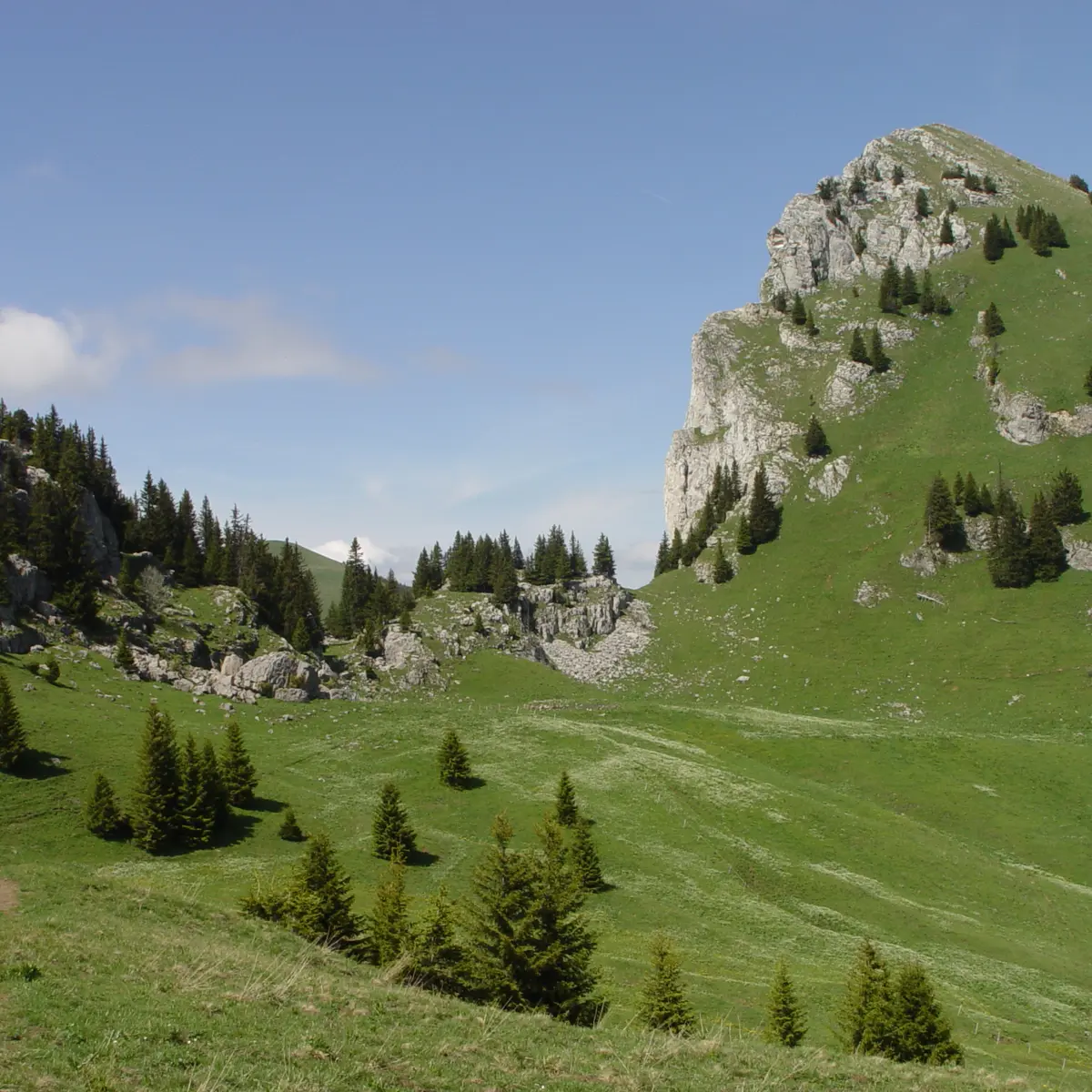 Montagne des Frêtes