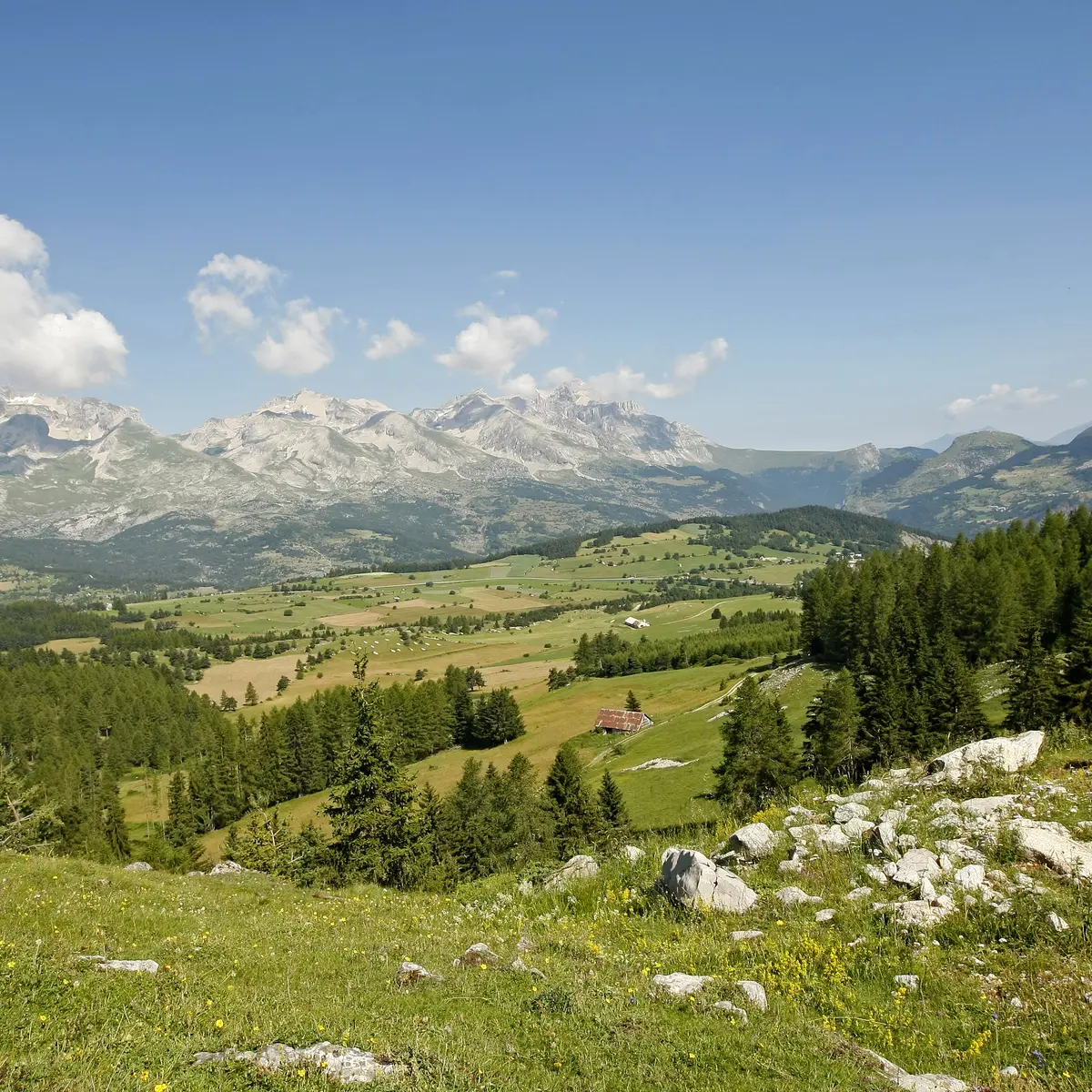Vue panoramique depuis le Collet du Tat sur le circuit VTT du Tour du Dévoluy, Dévoluy, Hautes-Alpes