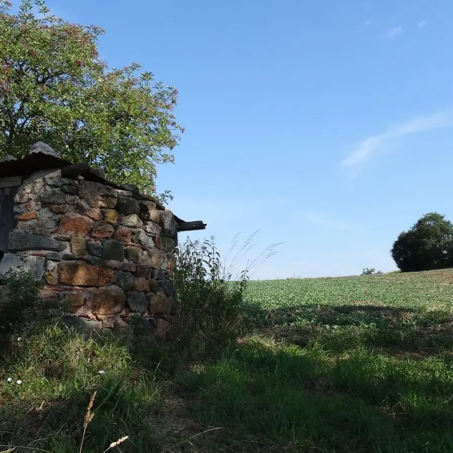 Sentiers des blés Maringes