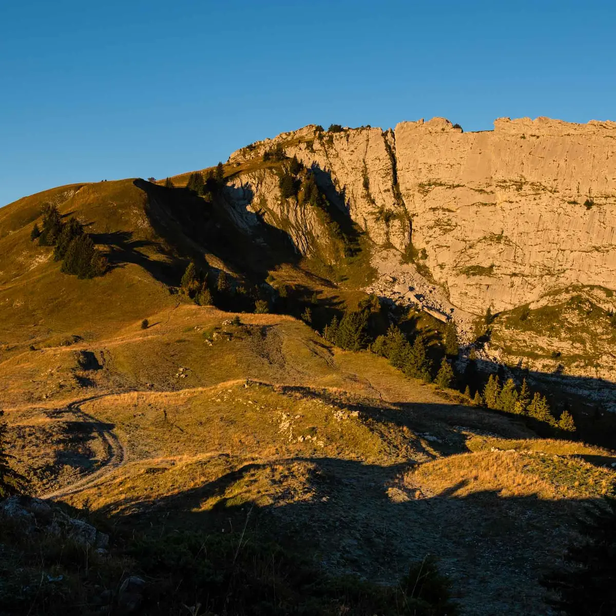 Montagne du Charbon