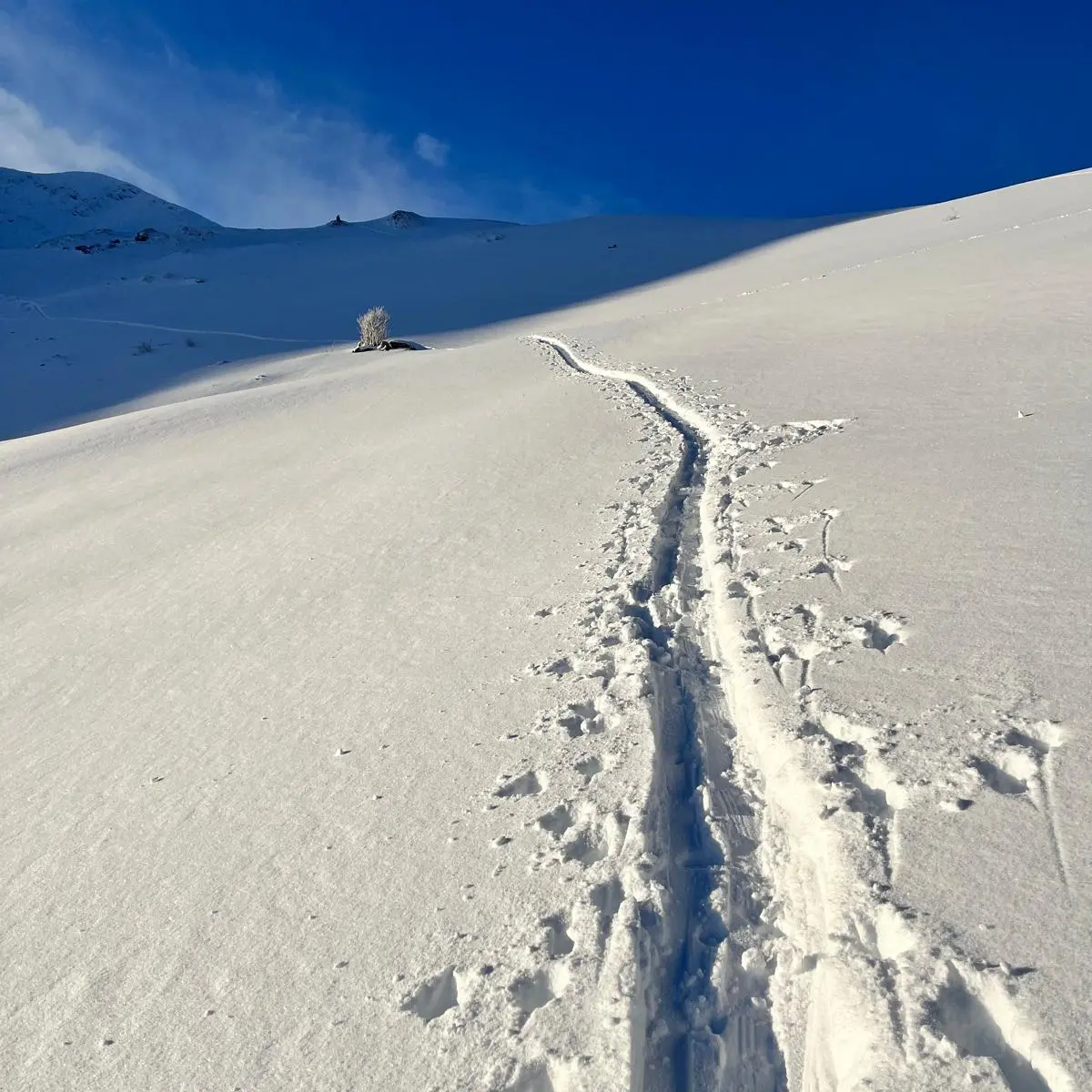 Col de cou en Hiver_Morzine